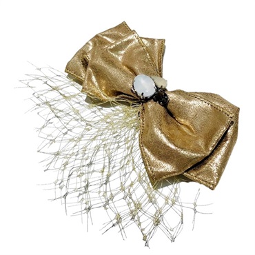 ゴールドF101-B41  の画像